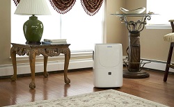 How to Repair and Replace Dehumidifiers